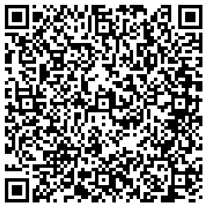 ДНС Апатиты Бредова, 26а контакты qr