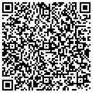 ДНС Апатиты Козлова, 10 контакты qr