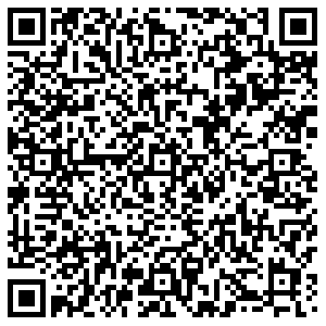 ДНС Чита Генерала Белика, 1 контакты qr