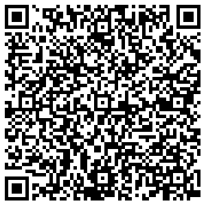 ДНС Новоалтайск 8-й микрорайон, 29 контакты qr