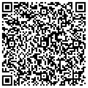 ДНС Всеволожск Невская, 13 контакты qr