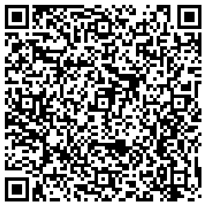 ДНС Казань д. Макаровка, Берёзовая, 10 контакты qr