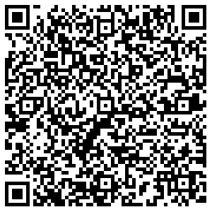 ДНС Одинцово Чистяковой, 3 контакты qr