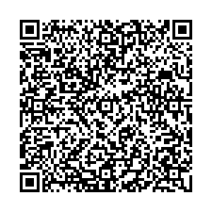 ДНС Ногинск Горьковское шоссе 51 км, 5 контакты qr