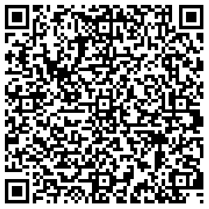 ДНС Ростов-на-Дону Портовая, 388 контакты qr