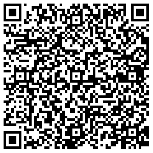 ДНС Красноярск Норильская, 4е контакты qr