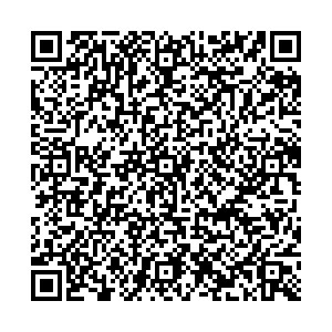 ДНС Тольятти с. Подстепки, Фермерская, 1а контакты qr