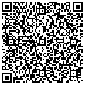 ДНС Пенза Калинина, 93 контакты qr