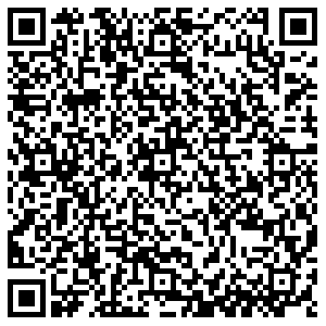 ДНС Липецк 50 лет НЛМК, 4а контакты qr
