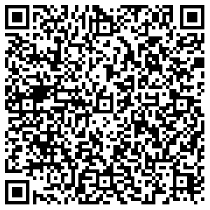 ДНС Орёл Раздольная, 80 контакты qr