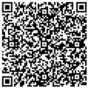 ДНС Нижний Тагил Зари, 21 контакты qr