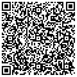 ДНС Нижний Тагил Садовая, 81 контакты qr