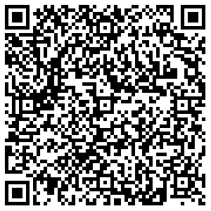 ДНС Архангельск Розинга, 10 контакты qr