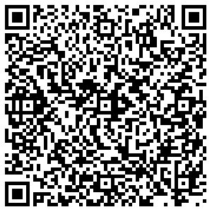 ДНС Старый Оскол Ленина, 22 контакты qr