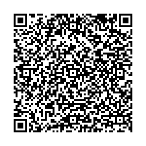 ДНС Бор ул. Ленина, 113б контакты qr