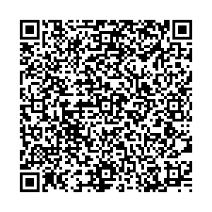 ДНС Липецк ул. Петра Смородина, 13А контакты qr