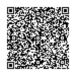 ДНС Липецк Площадь Победы 1. контакты qr