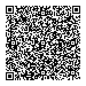 ДНС Владимир ул. Безыменского, дом 8а контакты qr