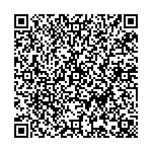 ДНС Воскресенск ул. Зелинского, д. 3 контакты qr