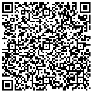 ДНС Тольятти ул. Фрунзе, 6 контакты qr