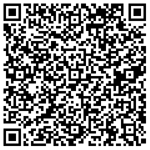 ДНС Пермь ул. Попова, 16 контакты qr