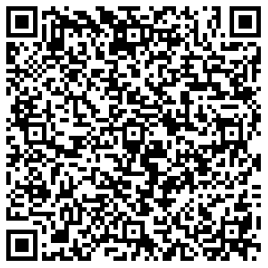 DPD Богородицк ул Ленина, дом 12 контакты qr