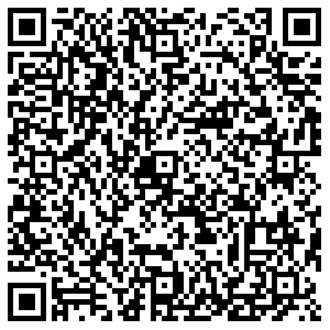 DPD Рассказово Советская улица, 16 контакты qr