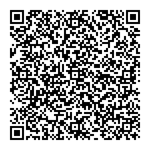 Дрим Лэнд Владимир Проспект Ленина, д. 42 контакты qr