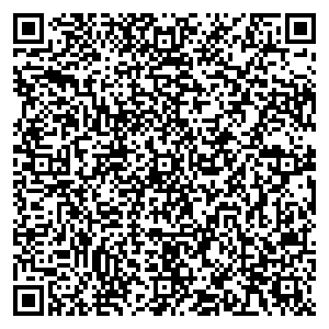 Дрим Лэнд Нижний Новгород Улица Ларина, д. 7 контакты qr