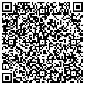 Элекснет Тольятти Ленина, 53 контакты qr