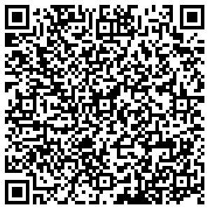 Элекснет Тольятти Горького, 66 контакты qr