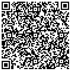 Элекснет Тольятти Мира, 107а контакты qr