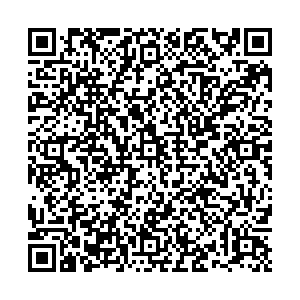 Элекснет Тольятти Голосова, 105а контакты qr