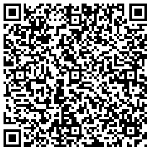 Элекснет Тольятти Фрунзе, 6 контакты qr