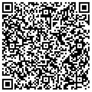 Элекснет Самара Дачная, 2 контакты qr