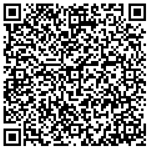 Элекснет Бор Ленина, 113Б контакты qr