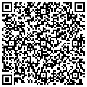 Элекснет Бор Пушкина, 97 контакты qr