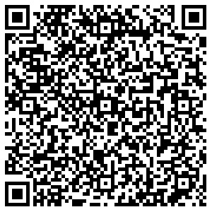 Элекснет Казань Дементьева, 72 контакты qr