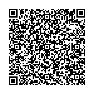 Элекснет Пушкино Лермонтова, 2а контакты qr