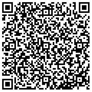 Элекснет Тольятти Мира, 152 контакты qr
