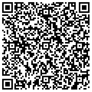 Элекснет Павловск Медвежий пер., д. 2/5 контакты qr