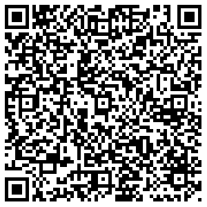 Элекснет Сестрорецк Приморское ш., 350 контакты qr