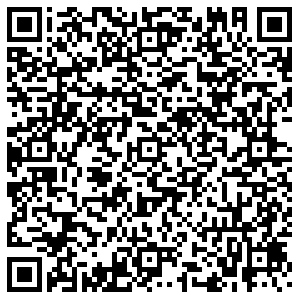 Элекснет Губкин Фрунзе ул., д. 4 контакты qr