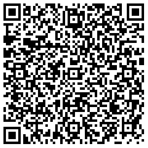 Элекснет Кола Автомобилистов пр., д. 1 контакты qr