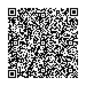 Элика Воронеж Олеко Дундича, 1 киоск контакты qr