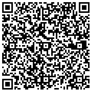 Элика Самара Ставропольская, 86/1 контакты qr