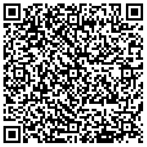 Элика Челябинск Котина, 1 контакты qr