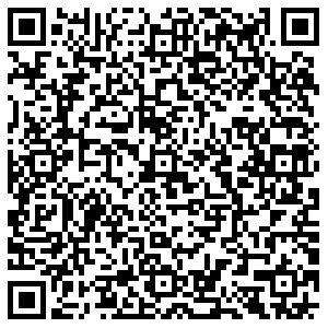 Элика Владимир Чайковского, 3 контакты qr