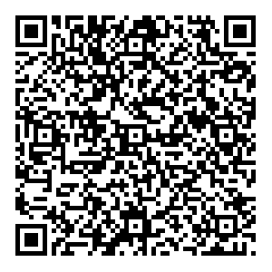 Emex Сочи Пластунская, 47а контакты qr