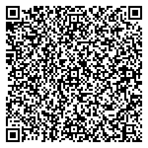 Евросеть Кемь пр-кт. Пролетарский, д. 41 контакты qr